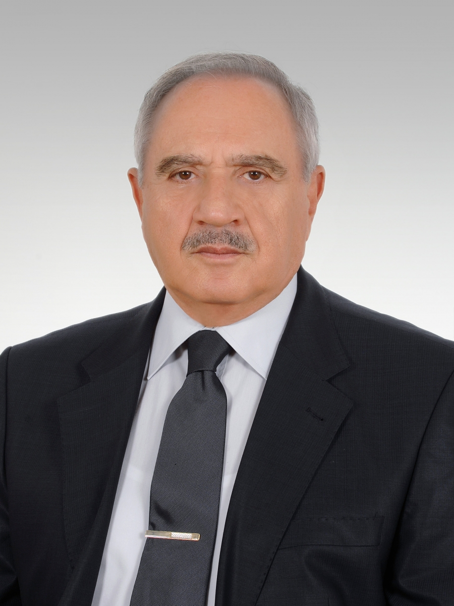 mehmet vecdi gonul